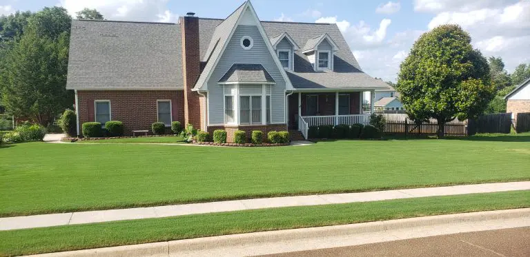 B3.Services Lawn Care Photo